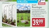 Aktuelles Rosenbogen Angebot bei ALDI Nord in Leipzig ab 39,99 €