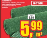 Kunstrasen Angebote bei Wilhelm Pelster GmbH & Co. KG Dülmen für 5,99 €