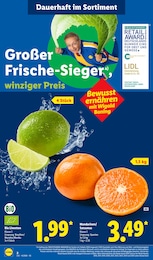 Mandarinen Angebot & Preis im aktuellen Lidl Prospekt Mandarinen Angebot im aktuellen Lidl Prospekt auf Seite 2