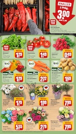 Hortensie im REWE Prospekt in Oldenburg Aktueller REWE Prospekt mit Hortensie, "Dein Markt", Seite 11