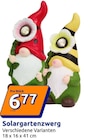 Action Düren - Solargartenzwerg Angebot im Prospekt Solargartenzwerg bei Action im Düren Prospekt für 6,77 €