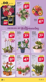 Aktueller Netto mit dem Scottie Prospekt mit Orchidee, "Günstig. Besser. Für Dich.", Seite 30