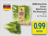 diska Sonneberg - Sachsen-Anhaltinischer Mini-Romanasalat Angebot im Prospekt Sachsen-Anhaltinischer Mini-Romanasalat bei diska im Sonneberg Prospekt für 0,99 €