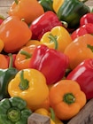 Paprika bei toom Baumarkt im Freital Prospekt für 3,49 €