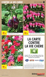 Plantes Angebote im Prospekt "2+1 OFFERT" von Intermarché Super auf Seite 11