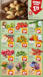 Schnittlauch Angebot im aktuellen REWE Prospekt auf Seite 11