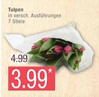 Tulpen  im aktuellen Marktkauf Prospekt für 3,99 €