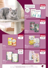 ZooRoyal Katzenfutter im Prospekt ZooRoyal Katzenfutter im Prospekt