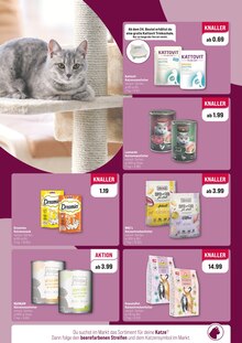 Katzenfutter im ZooRoyal Prospekt "FREIZEIT IST UNBEZAHLBAR" mit 10 Seiten (Hamburg)