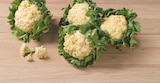 Blumenkohl von  im aktuellen tegut Prospekt für 0,99 €