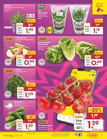 Blumen im Netto Marken-Discount Prospekt "Aktuelle Angebote" mit 67 Seiten (Nürnberg)