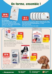 Prix et réduction Croquettes chien adulte dans le prospectus Maxi Zoo en cours Offre Croquettes chien adulte dans le catalogue Maxi Zoo du moment à la page 6