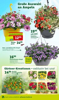 Balkonpflanzen im Pflanzen Kölle Prospekt "Doppelte Liebe, doppeltes Fest!" mit 16 Seiten (München)