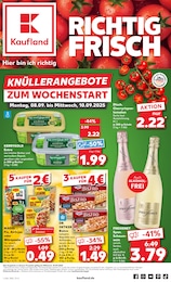 Kaufland Prospekt „KNÜLLER“ für Aub, Unterfr und Umgebung mit 68 Seiten Kaufland Prospekt für Aub, Unterfr und Umgebung: „KNÜLLER“, 68 Seiten, 08.09.2025 - 10.09.2025