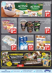 Joghurt im EDEKA Prospekt in Neumünster Aktueller EDEKA Prospekt mit Joghurt, "Top Angebote", Seite 15