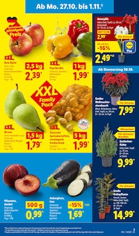Äpfel im aktuellen Lidl Prospekt (Fürth) Äpfel im Lidl Prospekt "LIDL LOHNT SICH" mit 67 Seiten (Fürth)
