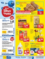 Brötchen im Netto Marken-Discount Prospekt in Potsdam Aktueller Netto Marken-Discount Prospekt mit Brötchen, "Aktuelle Angebote", Seite 2