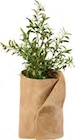 Aktuelle Gartenhaus Angebote bei Lidl in Essen Aktuelles Frostschutzmatte Angebot bei Lidl in Essen ab 7,99 €