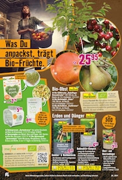 Aktueller Hornbach Prospekt mit Obst, "Energieverlust? Nicht mit Dir.", Seite 17