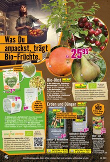 Äpfel im Hornbach Prospekt "Energieverlust? Nicht mit Dir." mit 27 Seiten (Magdeburg)