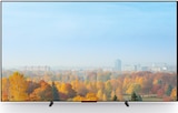 OLED TV K55A69PB BRAVIA 6 im Angebot bei expert in Weißenfels OLED TV K55A69PB BRAVIA 6 Angebote von SONY bei expert Weißenfels für 1.199,00 €