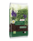 Aktuelle Gartenerde Angebote bei toom Baumarkt in Bergisch Gladbach Aktuelles Pflanzerde Angebot bei toom Baumarkt in Bergisch Gladbach ab 12,99 €
