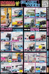 Zaun Angebot im aktuellen Norma Prospekt auf Seite 19