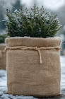 JUTE-VLIESMATTE im Angebot bei Wreesmann in Cuxhaven JUTE-VLIESMATTE Angebote bei Wreesmann Cuxhaven für 3,99 €