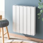 Radiateur inertie fluide orosi - SAUTER en promo chez Mr. Bricolage Rennes à 209,00 €