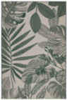 In- und Outdoorteppich Palm von Novel im aktuellen XXXLutz Möbelhäuser Prospekt
