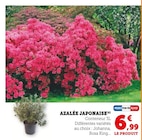 Promo Azalée Japonaise à 6,99 € dans le catalogue Super U à L'Arbresle