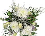Aktuelle Blumen Angebote bei REWE in Hamburg Aktuelles Flower Festival Angebot bei REWE in Hamburg ab 15,00 €