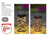 LED-Solar-Laterne im Angebot bei GLOBUS in Amberg LED-Solar-Laterne Angebote von Solar bei GLOBUS Amberg für 8,99 €
