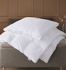 Aktuelles Kissen Angebot bei JYSK in Koblenz ab 30,00 €