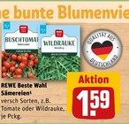 Sämereien Angebote von REWE Beste Wahl bei REWE Trier für 1,59 €