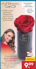 Rose Angebot in Wald Rose im aktuellen Prospekt bei Netto Marken-Discount in Wald