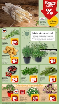 Blumen im REWE Prospekt "Dein Markt" mit 18 Seiten (Osnabrück)