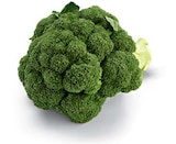 Broccoli im Angebot bei Netto Marken-Discount in Paderborn Broccoli Angebote von HEIMAT bei Netto Marken-Discount Paderborn für 0,99 €