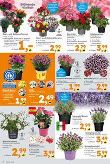 Gartenmöbel im Globus-Baumarkt Prospekt "Immer eine Idee besser" mit 24 Seiten (Jena)
