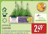 Aktuelle Lavendel Angebote bei ALDI Nord in Bochum Aktuelles Lavendel Angebot bei ALDI Nord in Bochum ab 2,49 âŹ