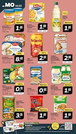 Knorr Angebote im Prospekt "Günstig. Besser. Für Dich." von Netto mit dem Scottie auf Seite 10