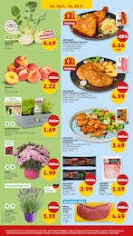 Gemüsepflanzen Angebot & Preis im aktuellen Penny Prospekt Gemüsepflanzen Angebot im aktuellen Penny Prospekt auf Seite 34
