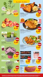 Ähnliche Wirsing Angebote im Prospekt "Wer günstig will, muss Penny." von Penny Ähnliches Angebot bei Penny in Prospekt "Wer günstig will, muss Penny." gefunden auf Seite 34