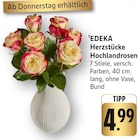 EDEKA Wannweil - Herzstücke Hochlandrosen Angebot im Prospekt Herzstücke Hochlandrosen bei EDEKA im Wannweil Prospekt für 4,99 €