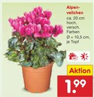 Angebot im Netto Marken-Discount Klein Kussewitz Prospekt Netto Marken-Discount Klein Kussewitz Prospekt mit im Angebot für 1,99 €