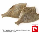 EDEKA Gerlingen - MSC Schollen Angebot im Prospekt MSC Schollen bei EDEKA im Gerlingen Prospekt für 1,99 €