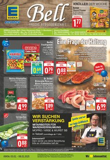 EDEKA Prospekt "Aktuelle Angebote" mit  Seiten (Bornheim)