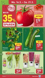 Aktueller ALDI Nord Prospekt mit Hortensie, "Aktuelle Angebote", Seite 3