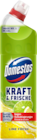 WC Reiniger Lime Fresh von Domestos für 1,79 € bei budni im Angebot WC Reiniger Lime Fresh von Domestos im aktuellen budni Prospekt