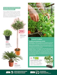 Offre Plant De Tomates dans le catalogue Truffaut du moment à la page 29